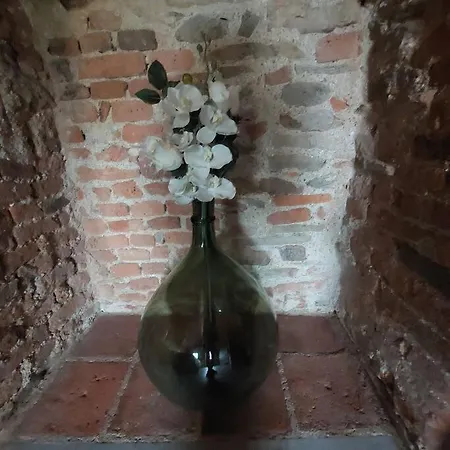 Istanti - Rosmarino Costigliole Saluzzo