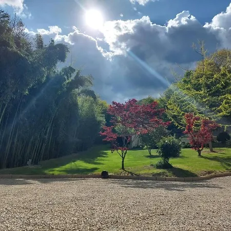 Istanti - Rosmarino Costigliole Saluzzo